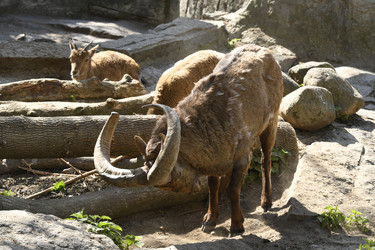 Similar image 21492380