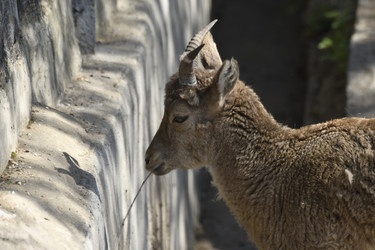 Similar image 21492381