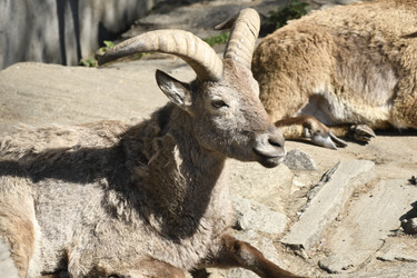 Similar image 21492382