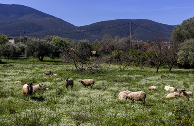 Similar image 21495570