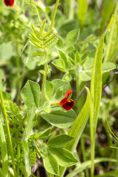 Similar image 21486518