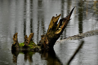 Similar image 21490232