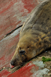 Similar image 21490238