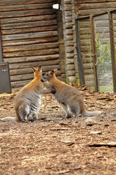 Similar image 21490242