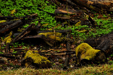 Similar image 21495268