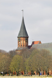 Similar image 21502709