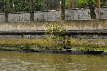 Similar image 21503168