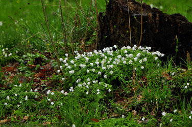 Similar image 21503174