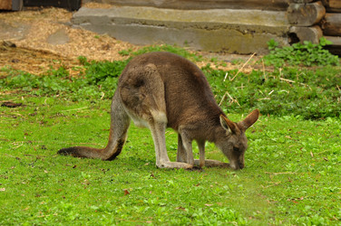 Similar image 21503175