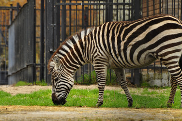 Similar image 21503858