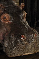 Similar image 21503859