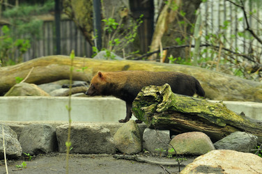 Similar image 21503861