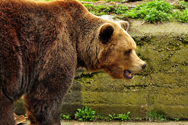 Similar image 21504146