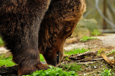 Similar image 21504147