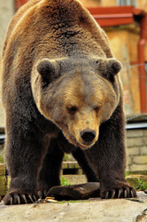 Similar image 21504148