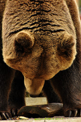 Similar image 21504273