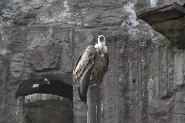 Similar image 21492404