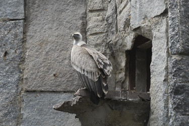 Similar image 21492405