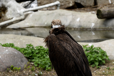 Similar image 21492406