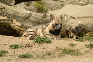 Similar image 21492408