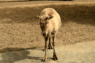 Similar image 21492411