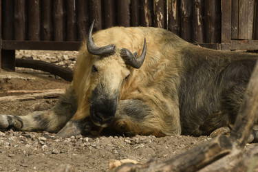 Similar image 21492412