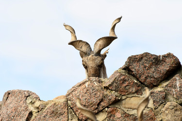 Similar image 21492415