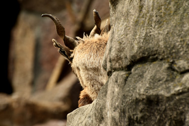 Similar image 21492417