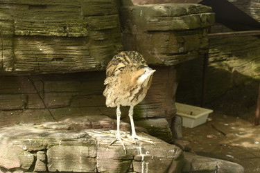 Similar image 21492418