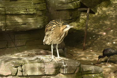 Similar image 21492419