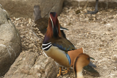 Similar image 21492421