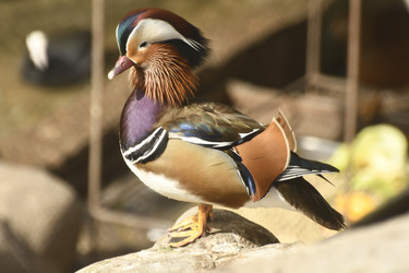 Similar image 21492422