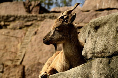 Similar image 21492425