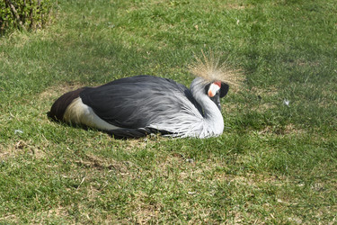 Similar image 21492428