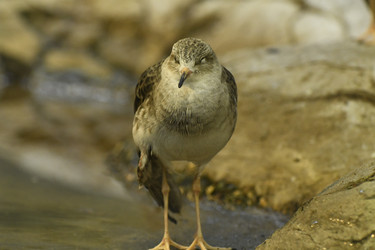 Similar image 21492429