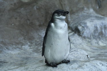 Similar image 21492430