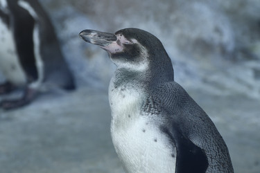 Similar image 21492433