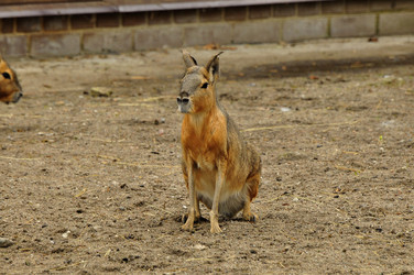 Similar image 21495269