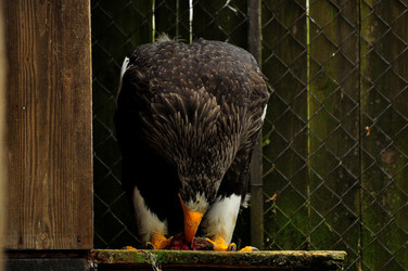 Similar image 21499688