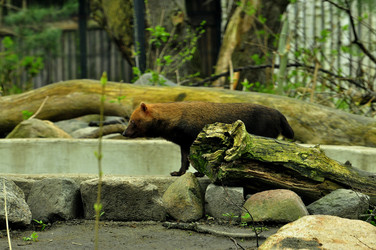 Similar image 21499690