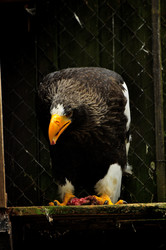 Similar image 21502426