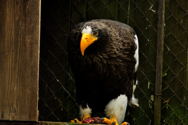 Similar image 21502715