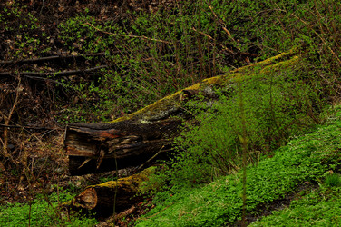 Similar image 21502722