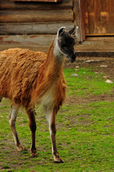 Similar image 21502724