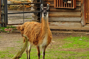 Similar image 21502725