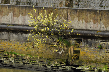 Similar image 21502727