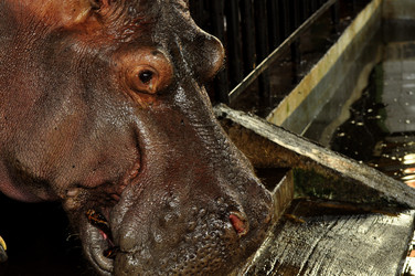 Similar image 21502729