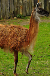 Similar image 21502730