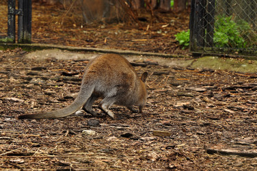 Similar image 21503176