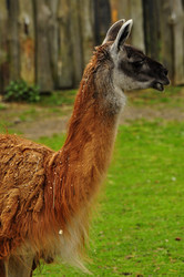 Similar image 21503178